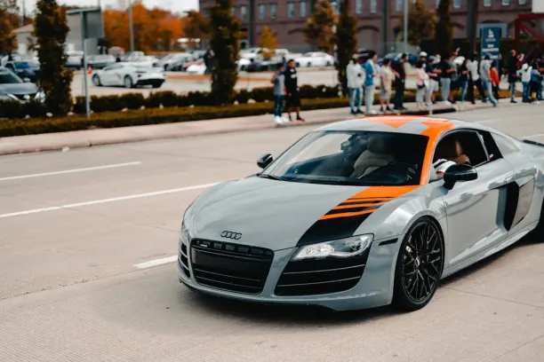 Casino Cashi Mashi App Android/iOS